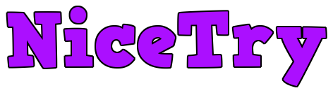 NiceTry